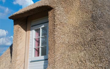 Tredaule thatch roof disadvantages