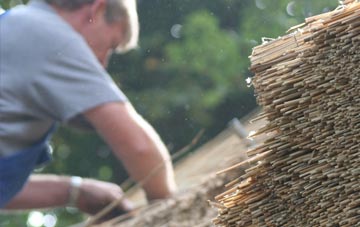 professional Tredaule thatchers